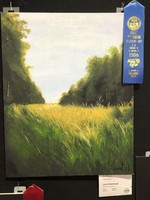 Art Awards at the SC State Fair!