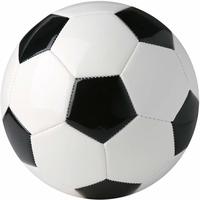 Soccer teams win!