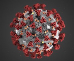 Coronavirus (COVID-19) Update