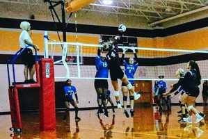The Latest Volleyball News