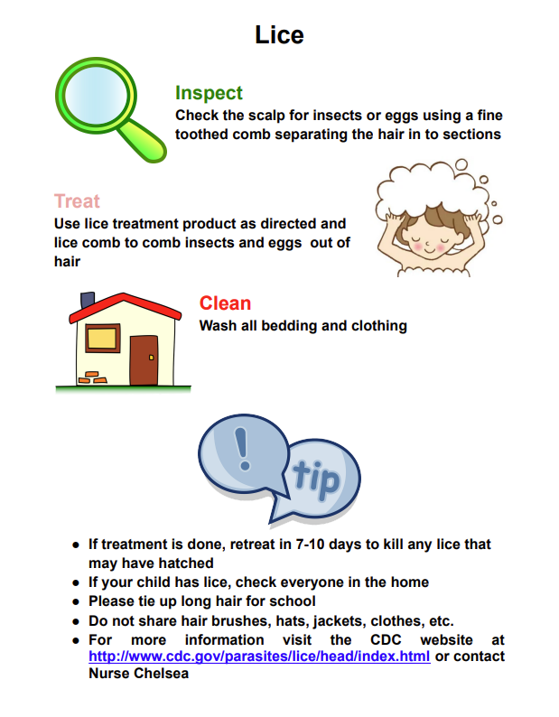 Lice Information